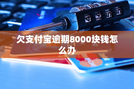 欠支付宝逾期8000块钱怎么办