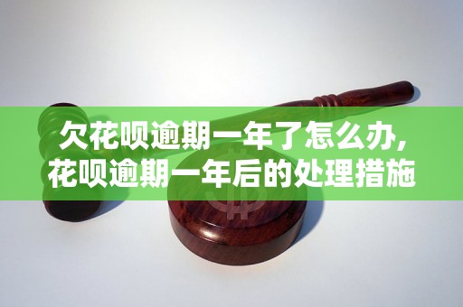 欠花呗逾期一年了怎么办,花呗逾期一年后的处理措施