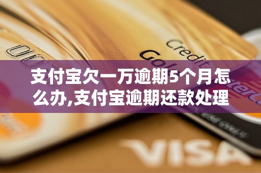 支付宝欠一万逾期5个月怎么办,支付宝逾期还款处理方法