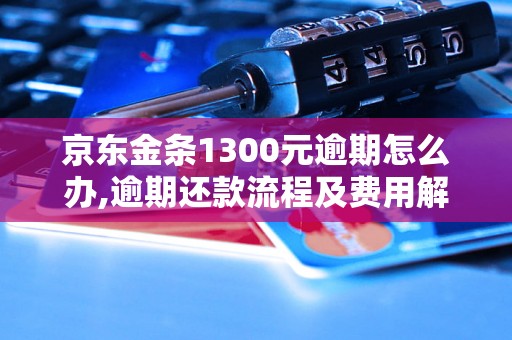 京东金条1300元逾期怎么办,逾期还款流程及费用解析