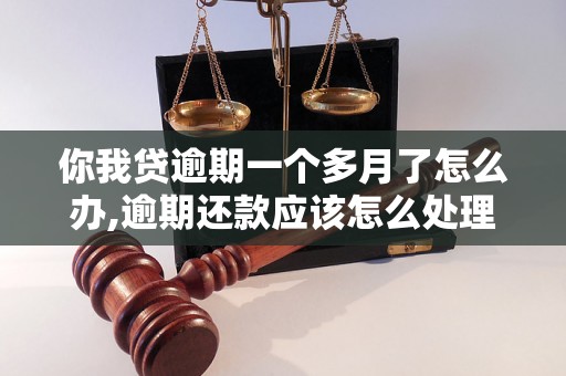 你我贷逾期一个多月了怎么办,逾期还款应该怎么处理