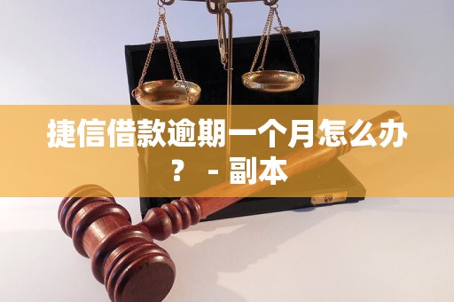 捷信借款逾期一个月怎么办？ - 副本