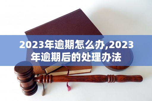 2023年逾期怎么办,2023年逾期后的处理办法