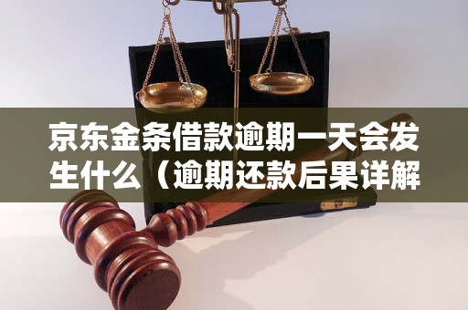 京东金条借款逾期一天会发生什么（逾期还款后果详解）