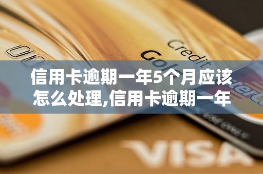 信用卡逾期一年5个月应该怎么处理,信用卡逾期一年5个月后果严重吗