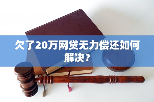 欠了20万网贷无力偿还如何解决？