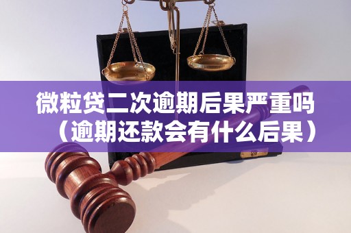 微粒贷二次逾期后果严重吗（逾期还款会有什么后果）