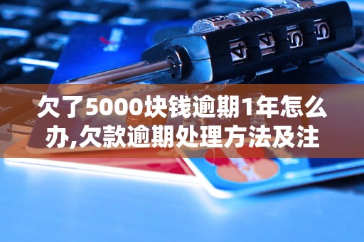 欠了5000块钱逾期1年怎么办,欠款逾期处理方法及注意事项