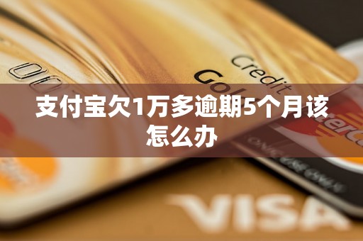 支付宝欠1万多逾期5个月该怎么办