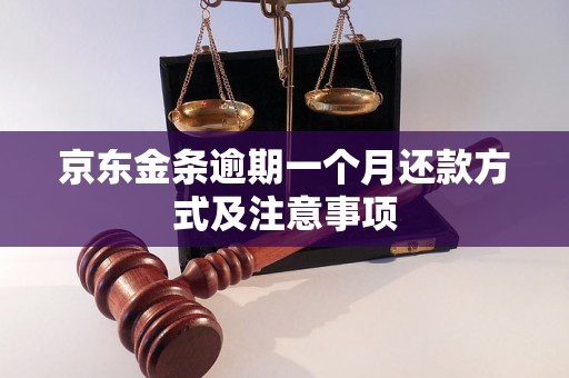 京东金条逾期一个月还款方式及注意事项