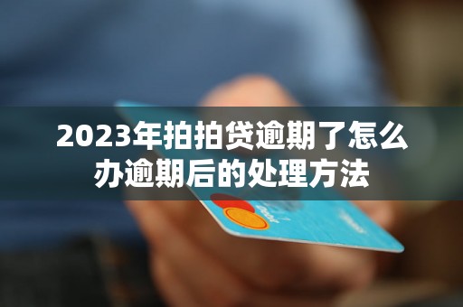 2023年拍拍贷逾期了怎么办逾期后的处理方法