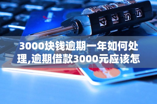 3000块钱逾期一年如何处理,逾期借款3000元应该怎么办