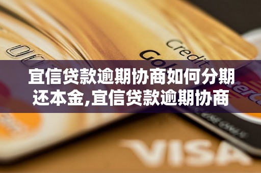 宜信贷款逾期协商如何分期还本金,宜信贷款逾期协商还本金的具体流程