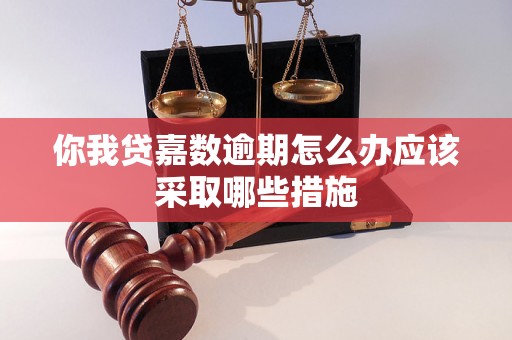 你我贷嘉数逾期怎么办应该采取哪些措施