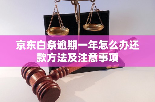 京东白条逾期一年怎么办还款方法及注意事项