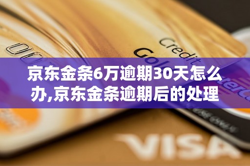 京东金条6万逾期30天怎么办,京东金条逾期后的处理措施