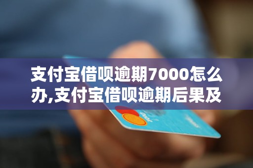 支付宝借呗逾期7000怎么办,支付宝借呗逾期后果及处理方法 - 副本