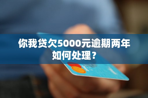 你我贷欠5000元逾期两年如何处理？