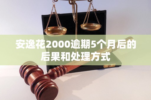 安逸花2000逾期5个月后的后果和处理方式