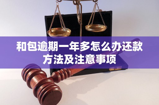 和包逾期一年多怎么办还款方法及注意事项