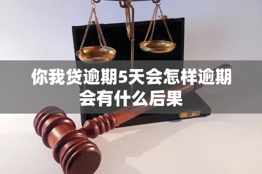 你我贷逾期5天会怎样逾期会有什么后果