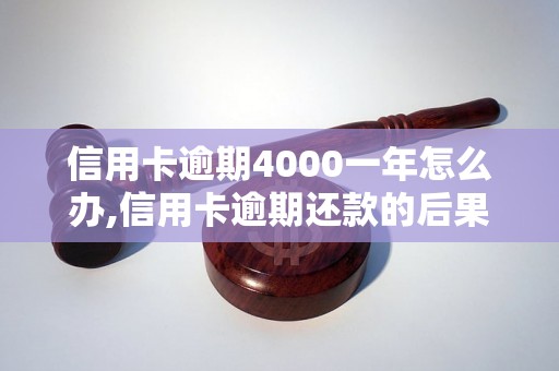 信用卡逾期4000一年怎么办,信用卡逾期还款的后果和处理方法