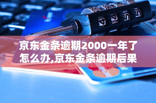 京东金条逾期2000一年了怎么办,京东金条逾期后果及解决办法