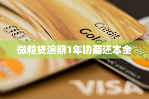 微粒贷逾期1年协商还本金