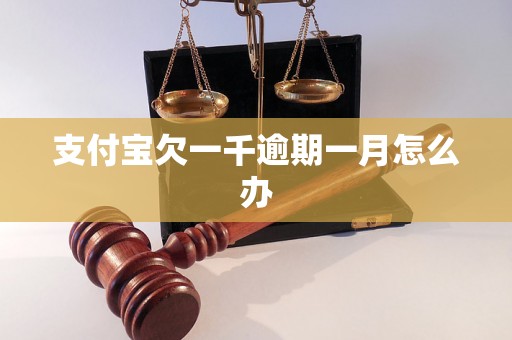 支付宝欠一千逾期一月怎么办