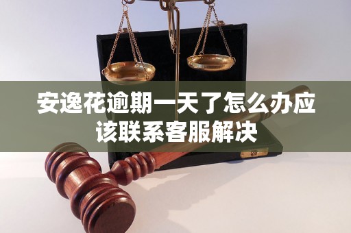 安逸花逾期一天了怎么办应该联系客服解决