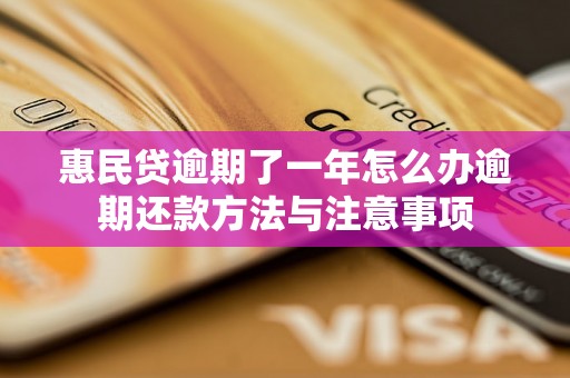 惠民贷逾期了一年怎么办逾期还款方法与注意事项