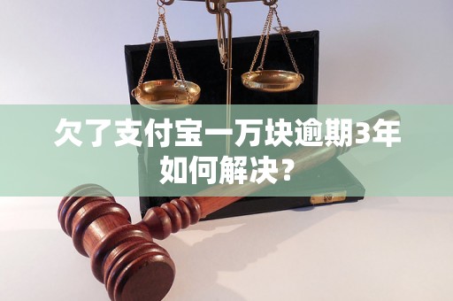 欠了支付宝一万块逾期3年如何解决？