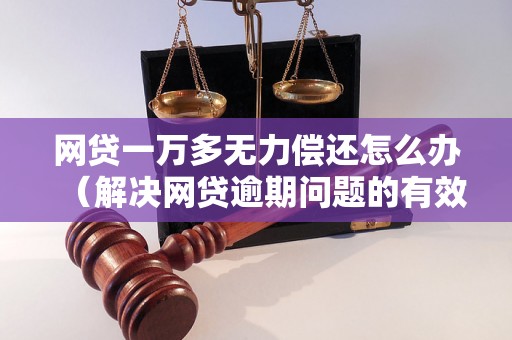 网贷一万多无力偿还怎么办（解决网贷逾期问题的有效方法）