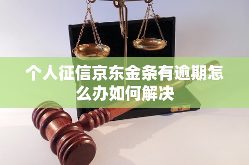 个人征信京东金条有逾期怎么办如何解决