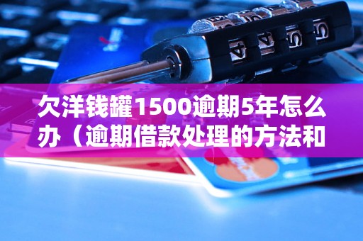 欠洋钱罐1500逾期5年怎么办（逾期借款处理的方法和技巧）