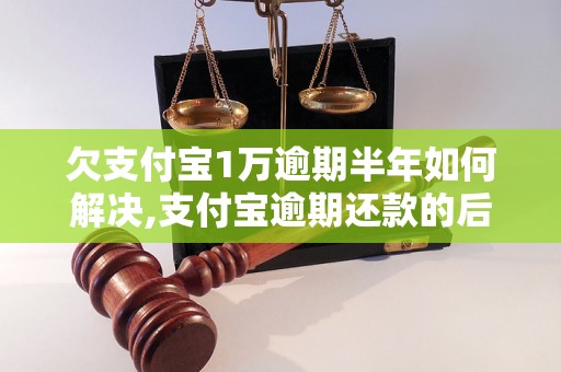 欠支付宝1万逾期半年如何解决,支付宝逾期还款的后果