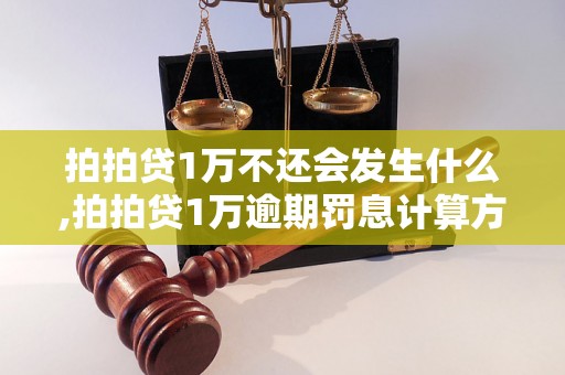 拍拍贷1万不还会发生什么,拍拍贷1万逾期罚息计算方法