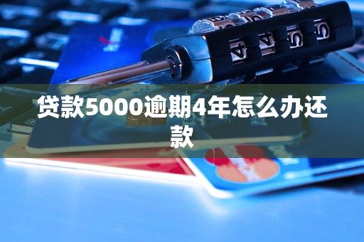 贷款5000逾期4年怎么办还款