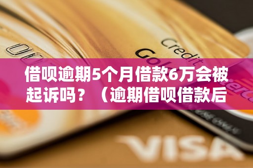 借呗逾期5个月借款6万会被起诉吗？（逾期借呗借款后果解析）