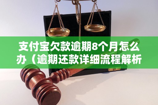 支付宝欠款逾期8个月怎么办（逾期还款详细流程解析）