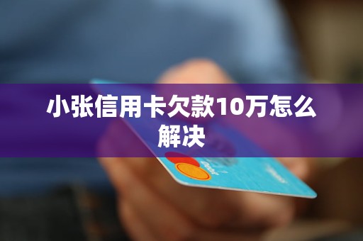 小张信用卡欠款10万怎么解决