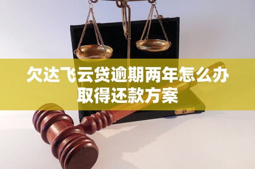 欠达飞云贷逾期两年怎么办取得还款方案