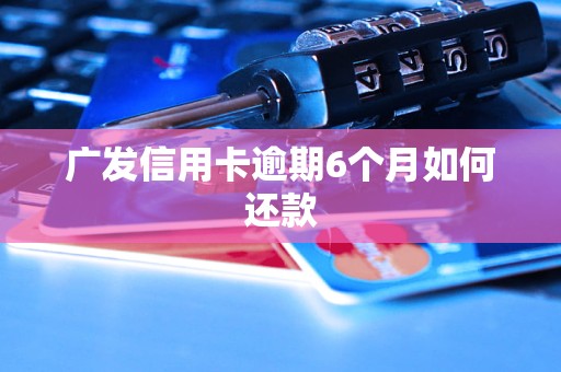 广发信用卡逾期6个月如何还款