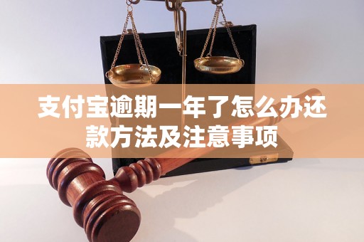 支付宝逾期一年了怎么办还款方法及注意事项