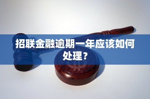 招联金融逾期一年应该如何处理？