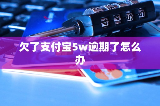 欠了支付宝5w逾期了怎么办