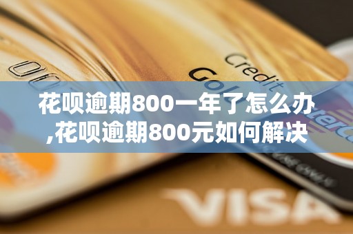 花呗逾期800一年了怎么办,花呗逾期800元如何解决