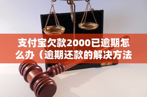 支付宝欠款2000已逾期怎么办（逾期还款的解决方法）