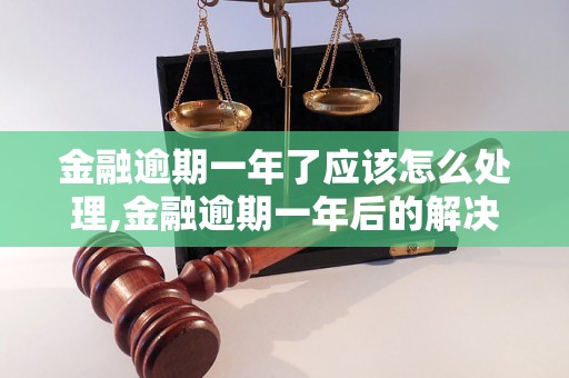 金融逾期一年了应该怎么处理,金融逾期一年后的解决方法