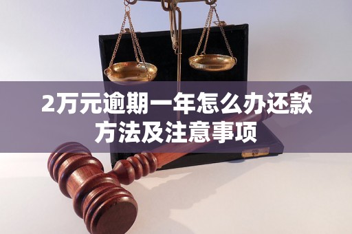 2万元逾期一年怎么办还款方法及注意事项